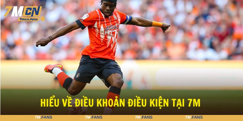 Điều khoản điều kiện 7M cập nhật các quy định quan trọng